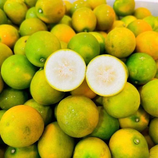 脆皮金桔约300g/盒 商品图0