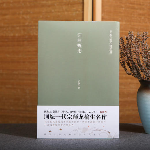 词曲概论 龙榆生著作精选集 商品图0