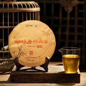 中茶2023蝴蝶5613老树白茶五年陈白牡丹紧压茶300g