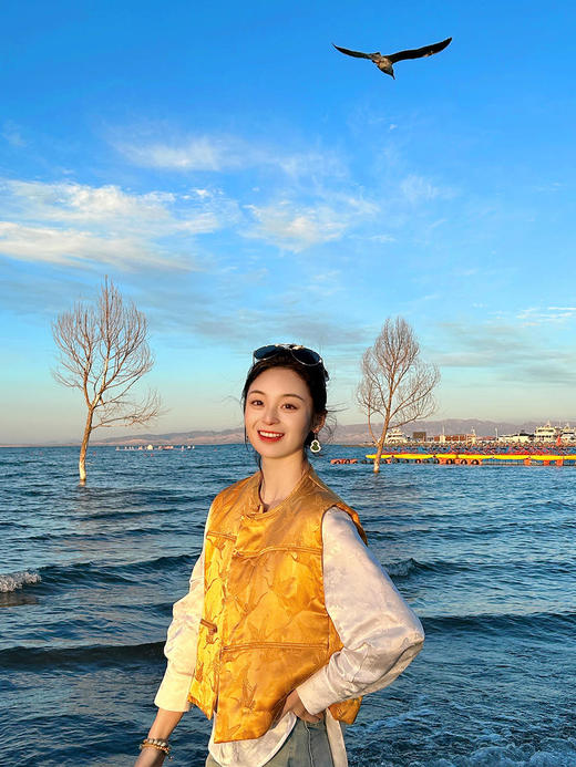 盛唐牡丹 |真丝提花仙鹤纹夹棉马甲 商品图9