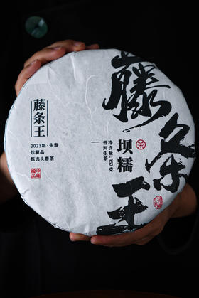 2023【坝糯藤条王】苍劲霸猛、香高味厚甘润、充满阳刚之气