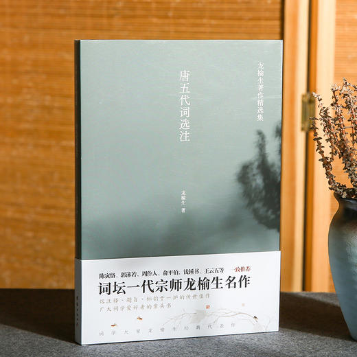 唐五代词选注 龙榆生著作精选集 商品图1