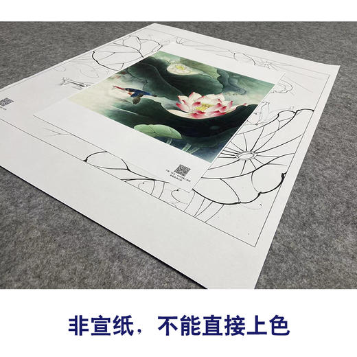 【大彩图】李晓明工笔画白描底稿斗方小品《绿翠红荷》荷花临摹勾线花鸟线稿K090 商品图2