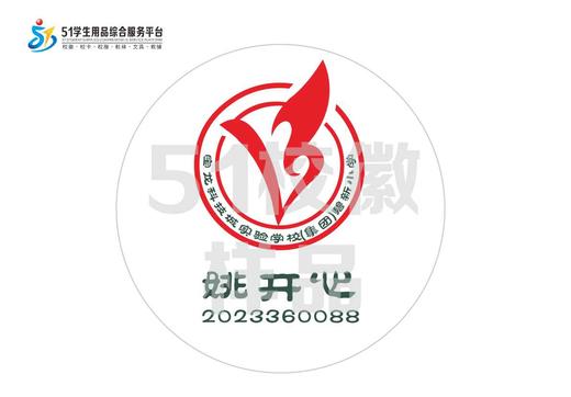 定制深圳市龙岗区宝龙科技城实验学校（集团）碧新小学校徽包邮51 商品图1