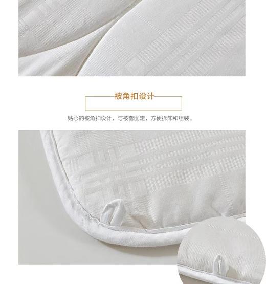 【Luolai罗莱厅】B7F罗莱 大豆亲肤春秋被新一代 商品图2