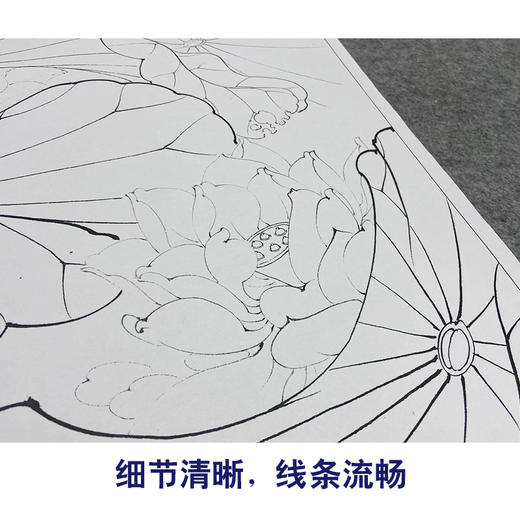 【大彩图】李晓明工笔画白描底稿斗方小品《绿翠红荷》荷花临摹勾线花鸟线稿K090 商品图4
