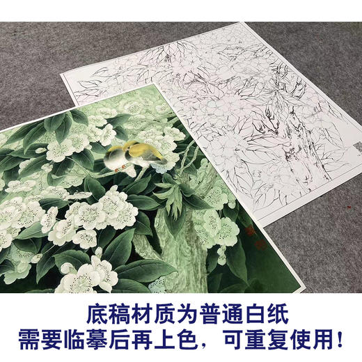 【大彩图】李晓明工笔画白描底稿《五月梨花赛春雪》梨花临摹勾线花鸟线稿K110 商品图3