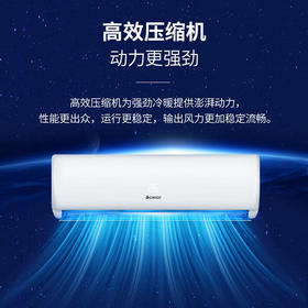志高（CHIGO）KFR-25GW/KFR-35GW  X5A-02 空调挂机5级定频冷暖定频家用卧室壁挂式节能轻音