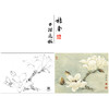 【大彩图】李晓明工笔画白描底稿小品《白玉兰》玉兰花临摹勾线花鸟线稿K101 商品缩略图0