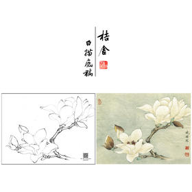 【大彩图】李晓明工笔画白描底稿小品《白玉兰》玉兰花临摹勾线花鸟线稿K101