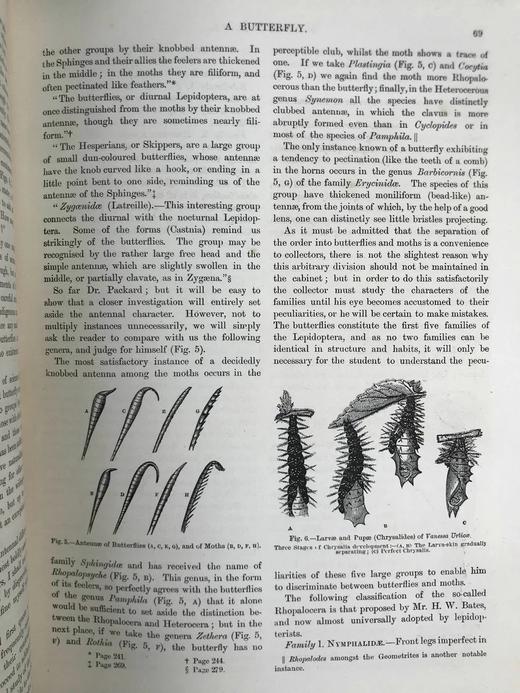 约19世纪后期 万物科学（卷3） 约百幅插图 漆布精装16开 商品图11