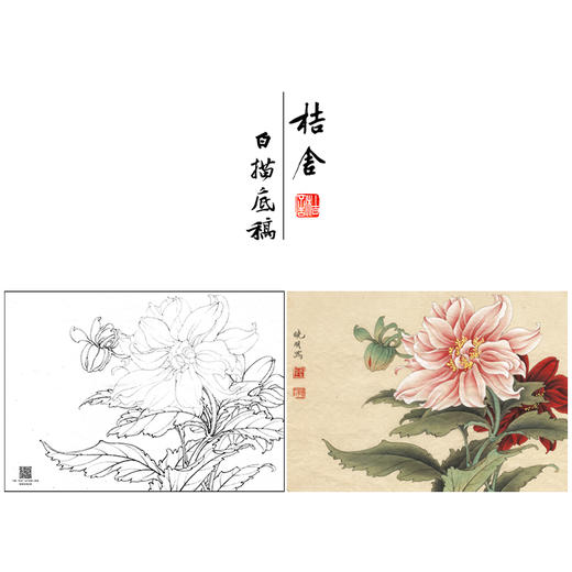 【大彩图】李晓明工笔画白描底稿小品《大丽菊》菊花临摹勾线花鸟线稿K102 商品图0