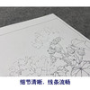 【大彩图】李晓明工笔画白描底稿斗方小品《红芙蓉花》临摹勾线花鸟线稿K111 商品缩略图4