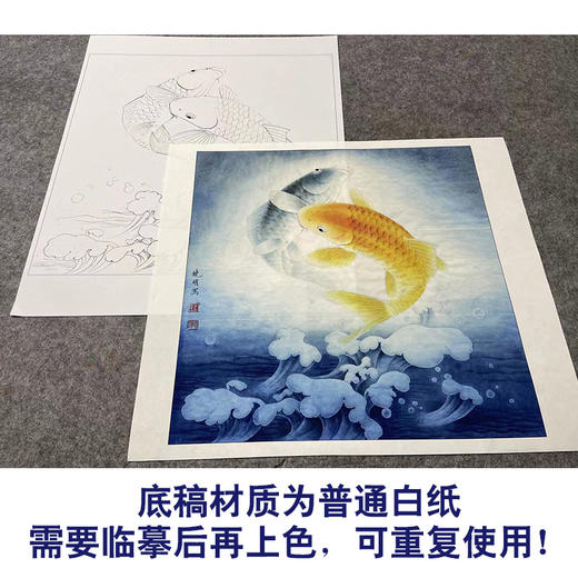 【大彩图】李晓明工笔画白描底稿斗方小品《鲤鱼》临摹勾线花鸟底稿K107 商品图3