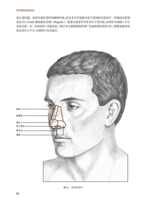 面部整形重建原则 第3版 傅窈窈 面部整形修复 解剖结构皮瓣技术 实际病例手术方法过程 眼耳鼻整形外科医师参考书 人民卫生出版社 商品图3