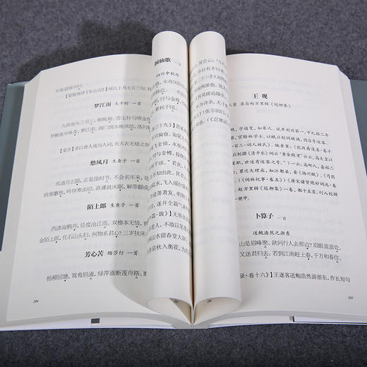 唐宋名家词选 龙榆生著作精选集 商品图3