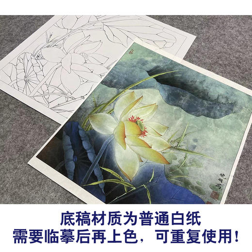 【大彩图】李晓明工笔画白描底稿小品《黄荷花》临摹勾线花鸟线稿K089 商品图3