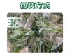 【39.9元4袋】新鲜羽衣甘蓝嫩叶  中国农科院农场直发 预售一周发货 125g*4袋 商品缩略图4