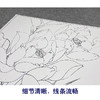 【大彩图】李晓明工笔画白描底稿斗方小品《圣洁之花》白荷临摹勾线花花鸟线稿K093 商品缩略图4