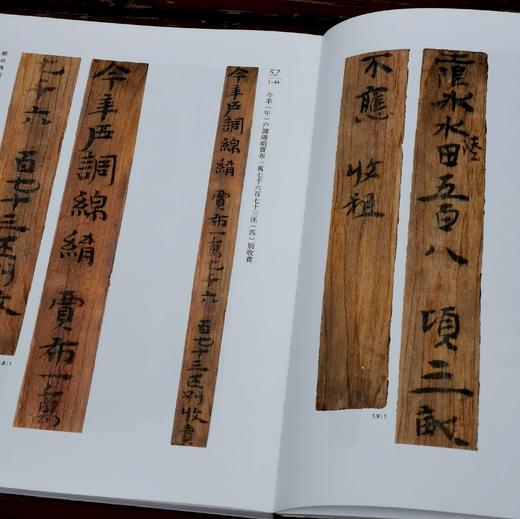 《郴州西晋简牍选粹》，16开，函套精装,铜版彩印，郴州市博物馆编，上海辞书出版社2022年12月出版，定价：480，售价：336。 商品图7