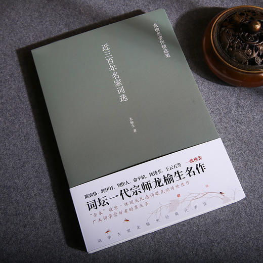 近三百年名家词选 龙榆生著作精选集 商品图1
