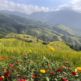 小羽拼团102015555555