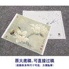 【大彩图】李晓明工笔画白描底稿小品《白玉兰》玉兰花临摹勾线花鸟线稿K101 商品缩略图1
