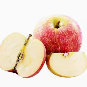 南非小苹果 约500g /份