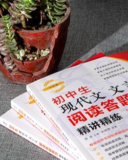 初中生现代文文言文阅读答题技巧精讲精练（全三册） 商品图2
