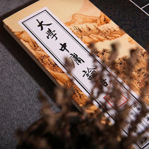 大学中庸论语注音版中华经典诵读教材中华传统文化书籍儒释道经典儒家文化中小学经典读物儿童国学经典畅销书四书五经 商品图3