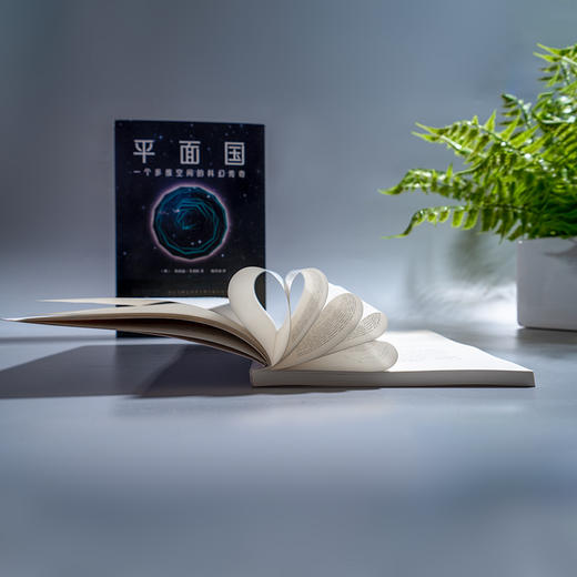 平面国 商品图2