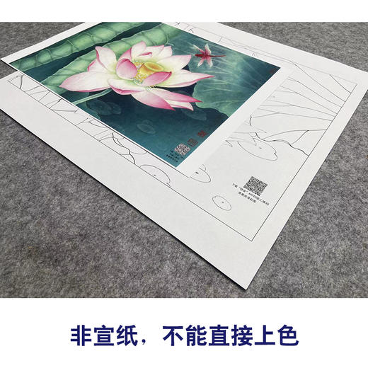 【大彩图】李晓明工笔画白描底稿小品《荷花蜻蜓》临摹勾线花鸟线稿K085 商品图2
