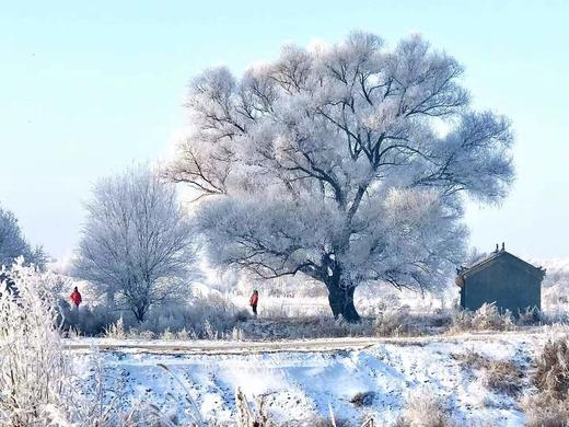 雪韵东北——查干湖冬捕、雾凇岛、老里克湖、长白山天池、魔界、雪乡、东北虎雪地捕食摄影团7——9天 商品图6