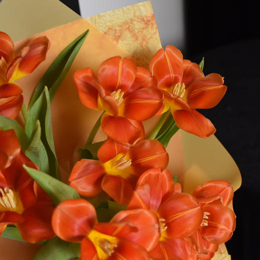 10枝橙色郁金香花束 商品图4