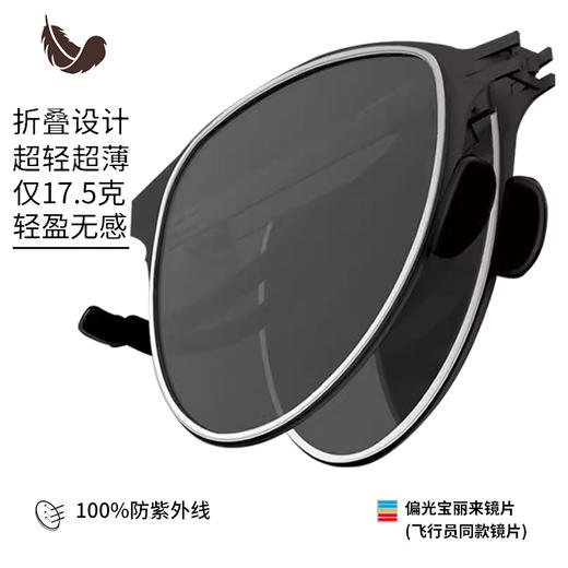 Feliztrip米斐利斯 折叠太阳眼镜墨镜超轻无螺丝铰链镜框宝丽来偏光镜片防紫外线 TR-G520 商品图1