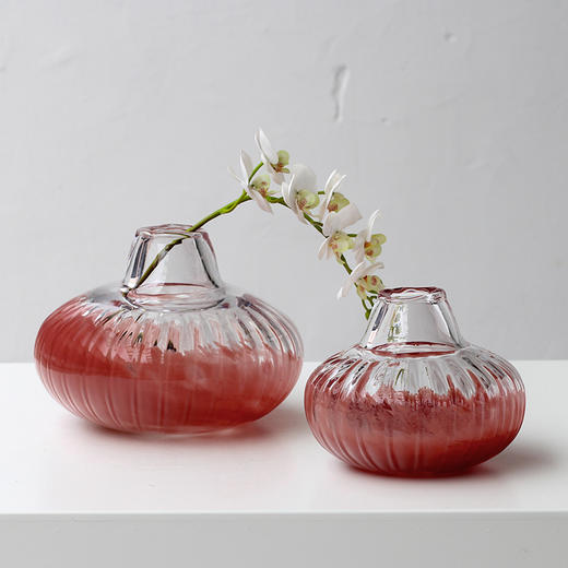 碧轩批发水培创意石榴红小口南瓜花瓶客厅软装家居装饰品透明摆件碧轩批发水培创意石榴红小口南瓜花瓶客厅软装家居装饰品透明摆件 商品图8