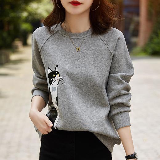 卫衣女长袖秋季新款潮外穿春秋款洋气学生韩版宽松圆领上衣 商品图1