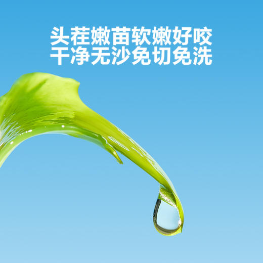 窝小芽高钙裙带菜30g 商品图3