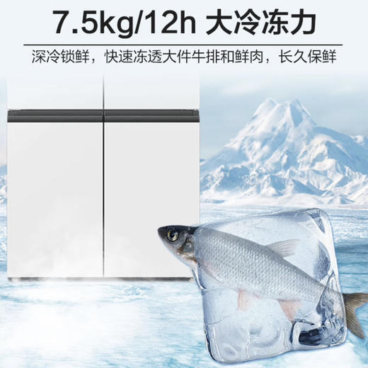 海尔（Haier）冰箱 BCD-549WGHTD58WV 商品图11