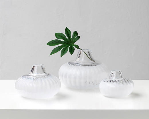 碧轩批发水培创意石榴红小口南瓜花瓶客厅软装家居装饰品透明摆件碧轩批发水培创意石榴红小口南瓜花瓶客厅软装家居装饰品透明摆件 商品图9