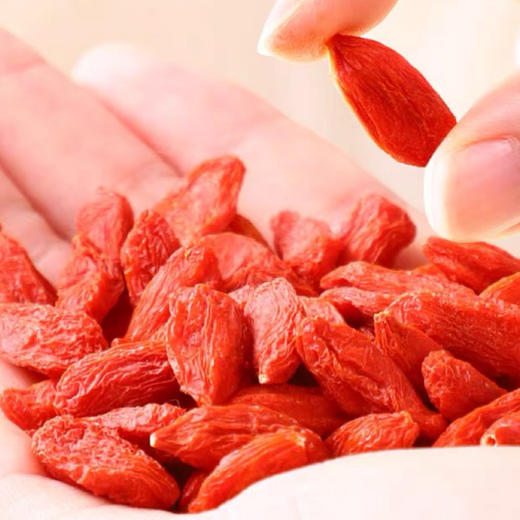 【西圣】 红枸杞 120g/袋*2 商品图2