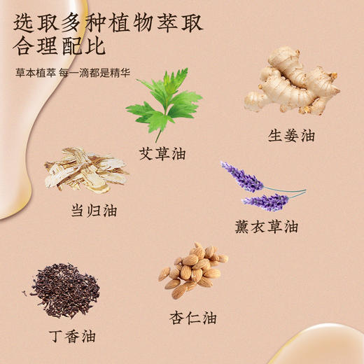 艾草生姜薰衣草按摩精华油 草本植取 商品图1