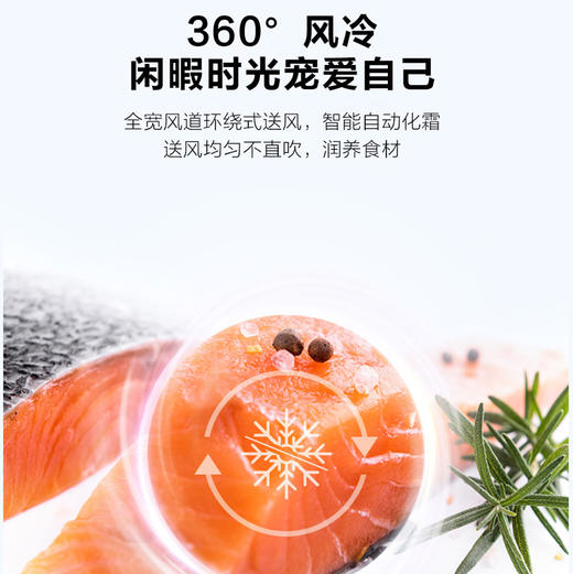 海尔（Haier）冰箱 BCD-466WGHFDEDSR 商品图4