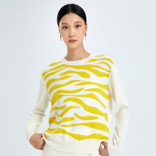 东黎 • 山羊绒女士秋冬提花圆领套衫 2635 商品图0