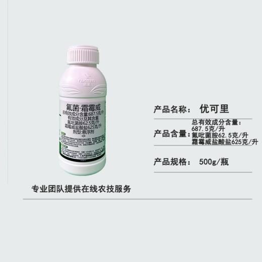 【农药】氟吡菌胺•霜霉威 商品图3