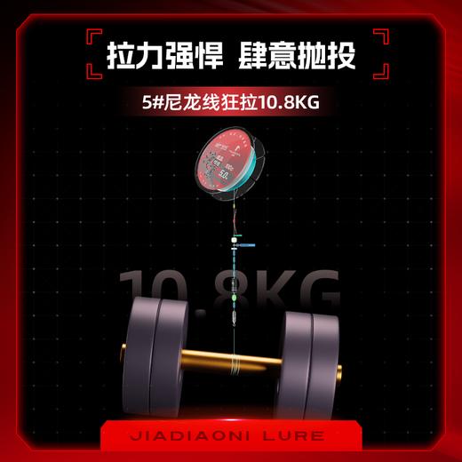 佳钓尼路滑漂钓线组专用线主线尼龙线鱼线矶钓竿远投鱼线成品 商品图2