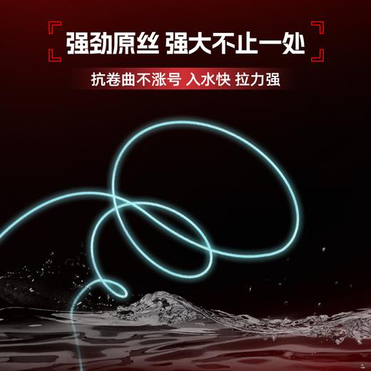 佳钓尼路滑漂钓线组专用线主线尼龙线鱼线矶钓竿远投鱼线成品 商品图3