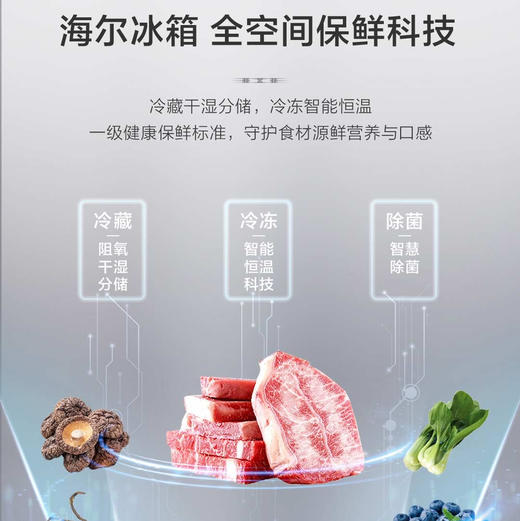 海尔（Haier）冰箱 BCD-477WGHTD1BGQU1 商品图1