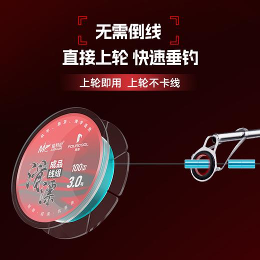 佳钓尼路滑漂钓线组专用线主线尼龙线鱼线矶钓竿远投鱼线成品 商品图4