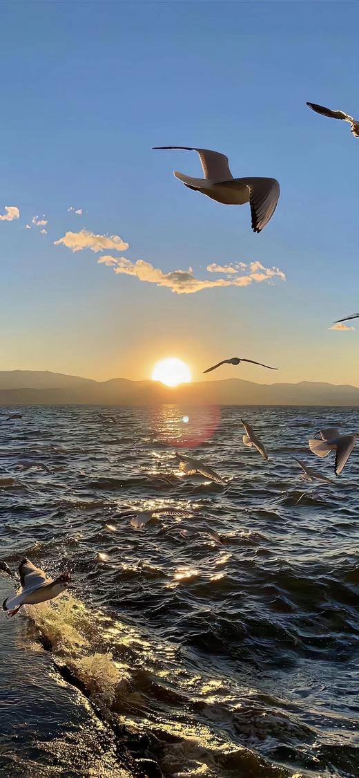 199英语课 商品图0